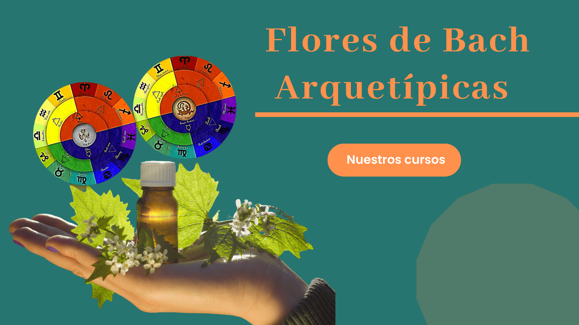 curso flores de bach