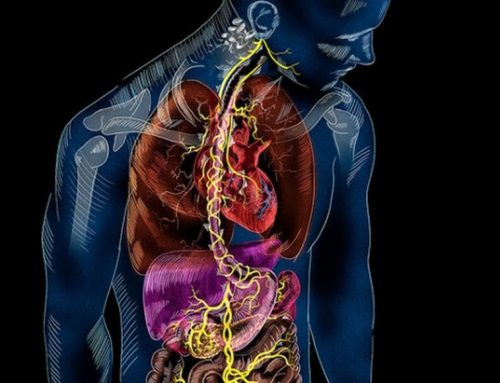 Estimular el nervio vago con Reflexología podal reduce el estrés.