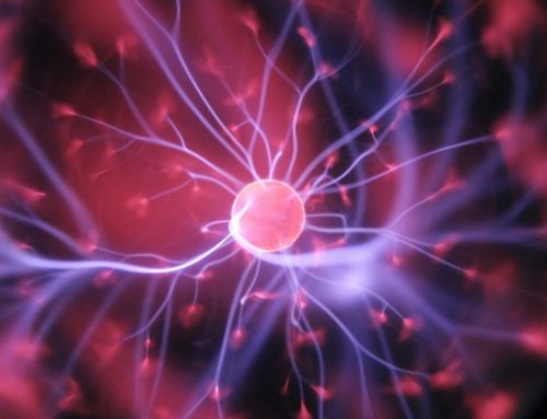 Aprende el lenguaje biológico para recuperar la comunicación con nuestra naturaleza olvidada.